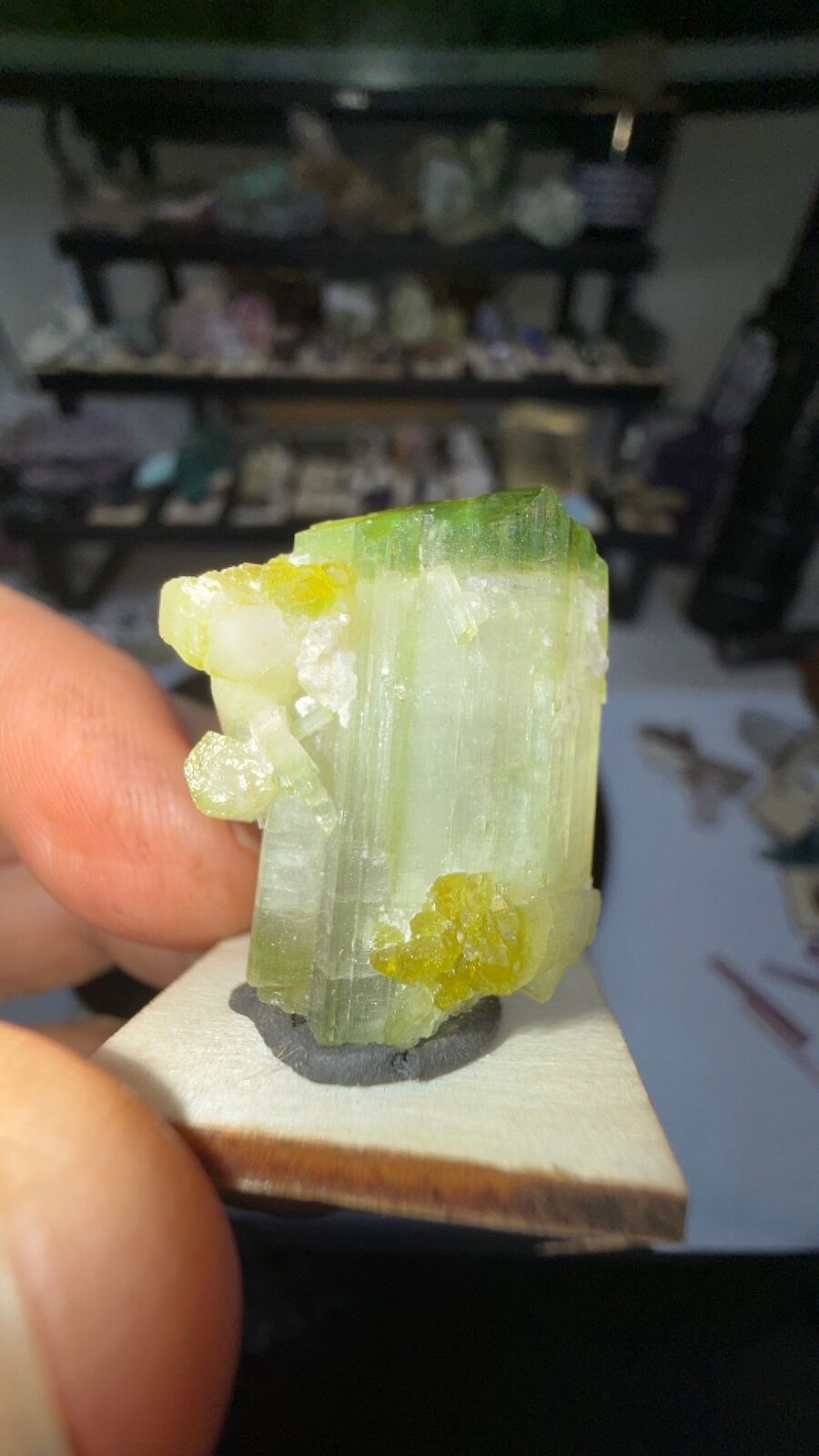 Tourmaline # 161