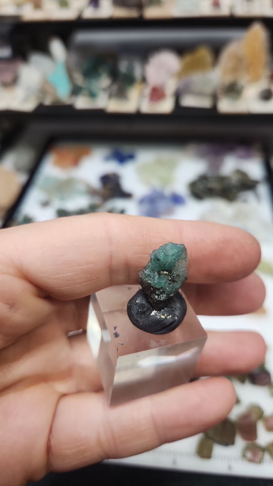 Emerald #76