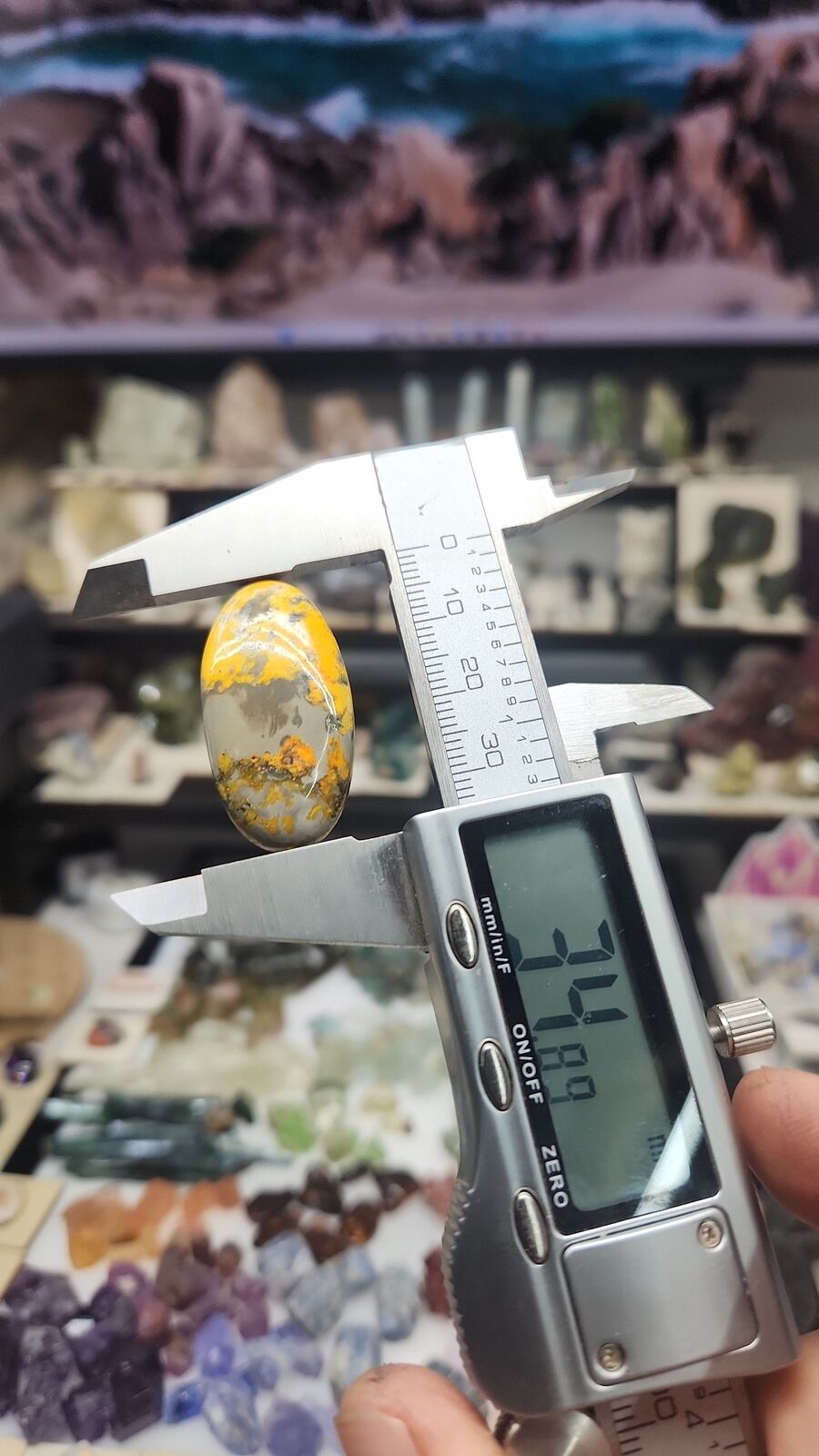 Bumblebee Jasper #201