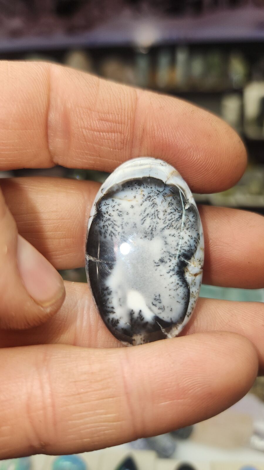 Dendritic Agate #192