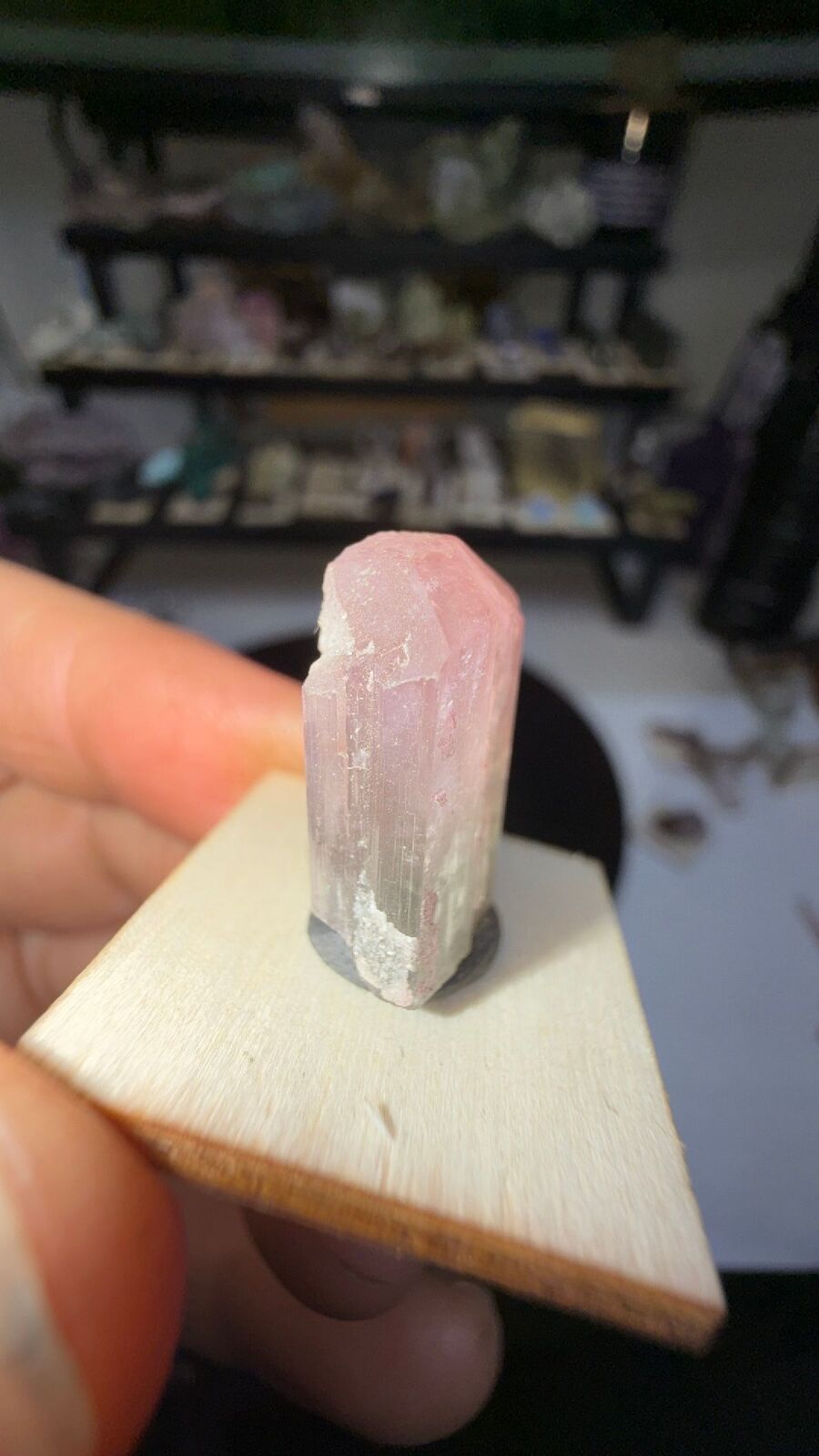 Tourmaline # 182