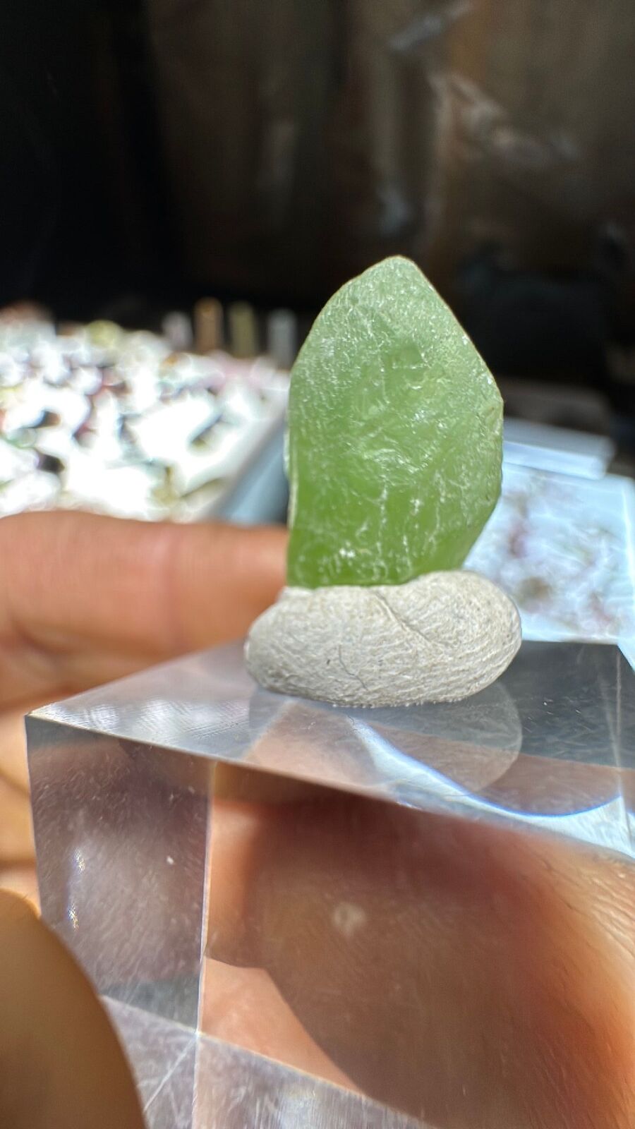 3.1g Peridot Crystal Terminated #26