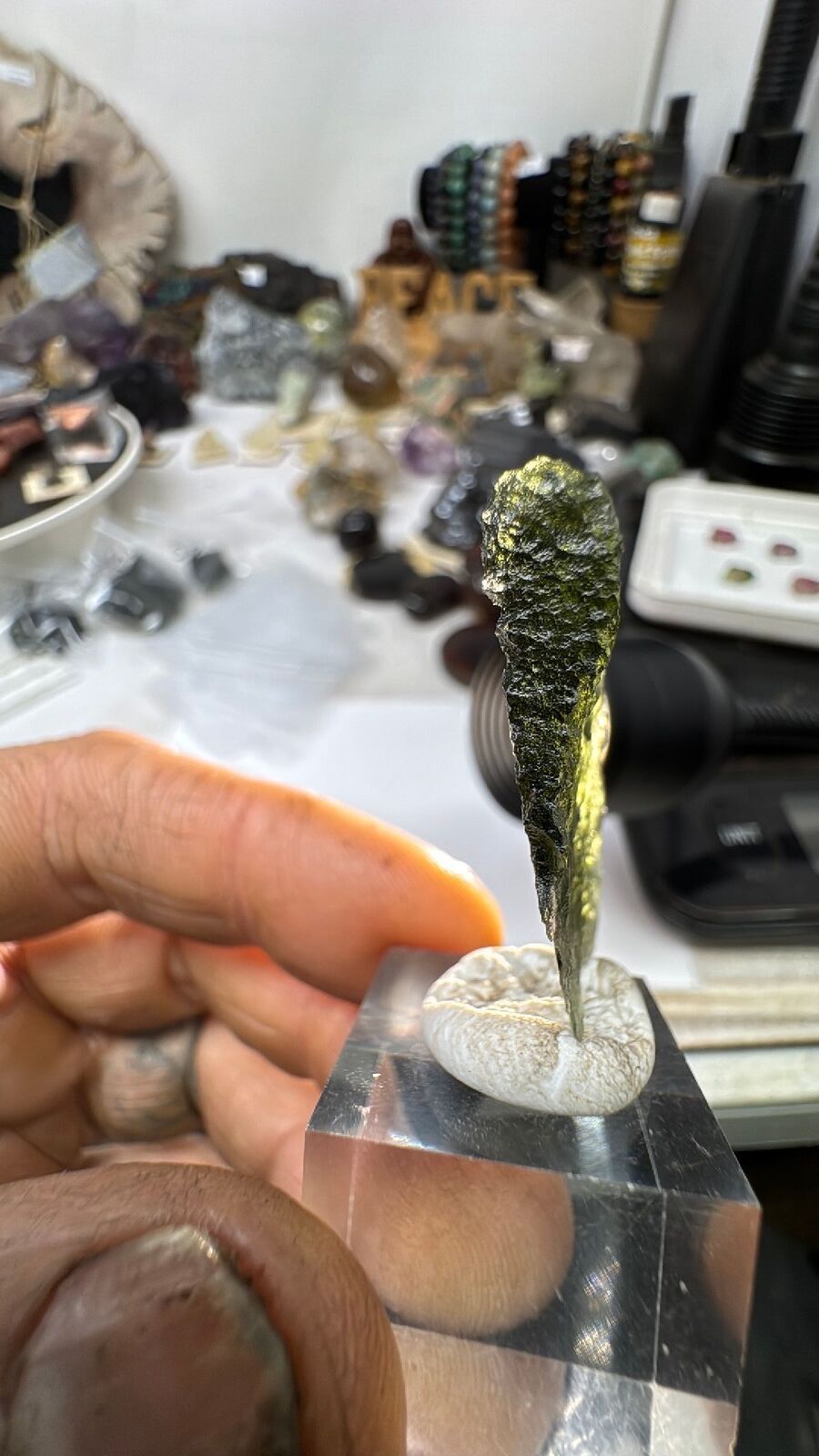 4.8g Moldavite Angel Wing #62