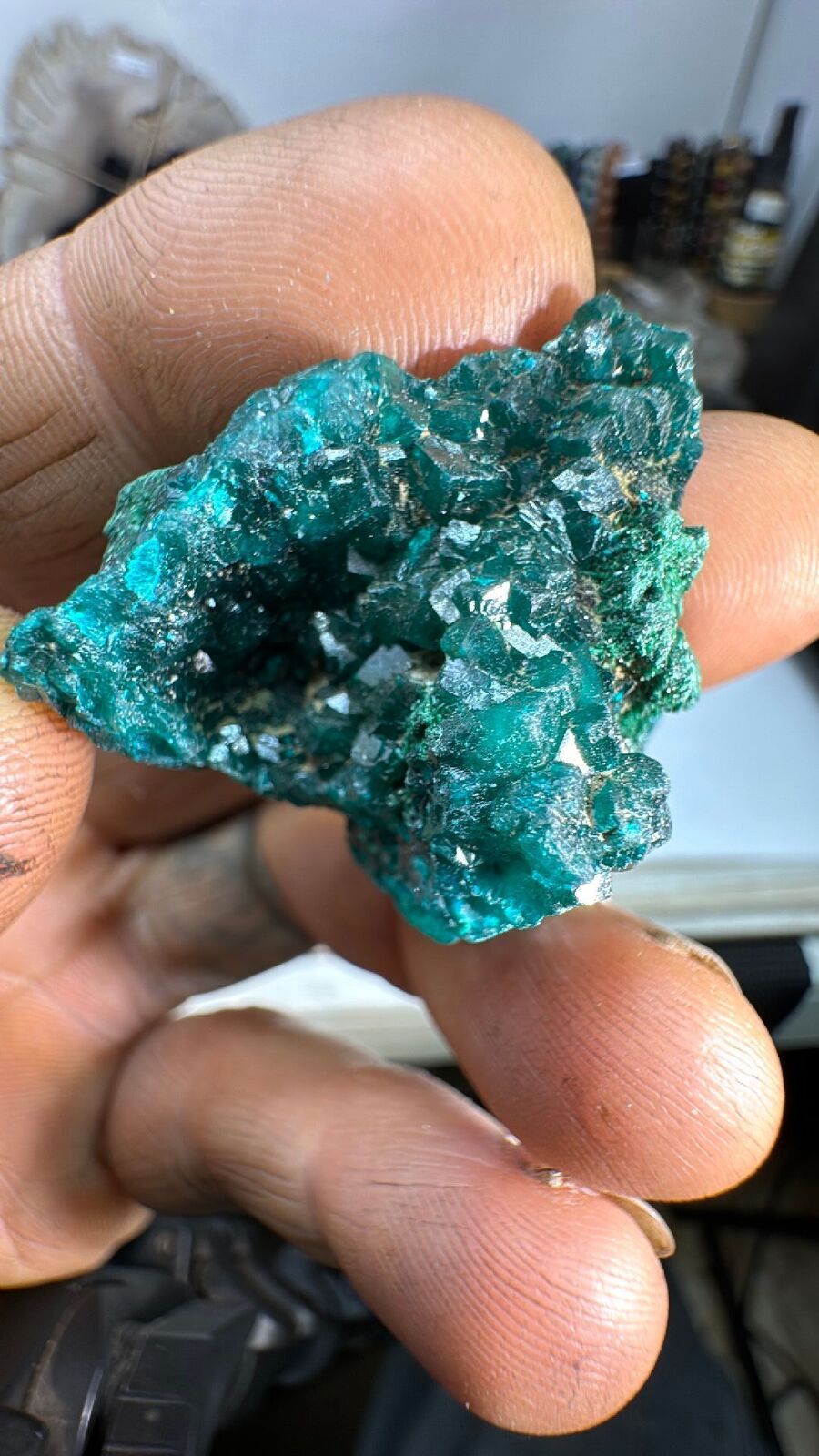 30g Dioptase Cluster Specimen #106