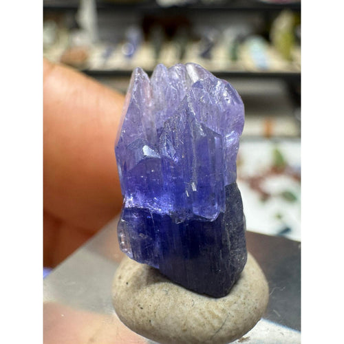 15.2 Carat Tanzanite Crystal from Tanzania #237 - Natural Gemstone for Jewelry Making and Collecting