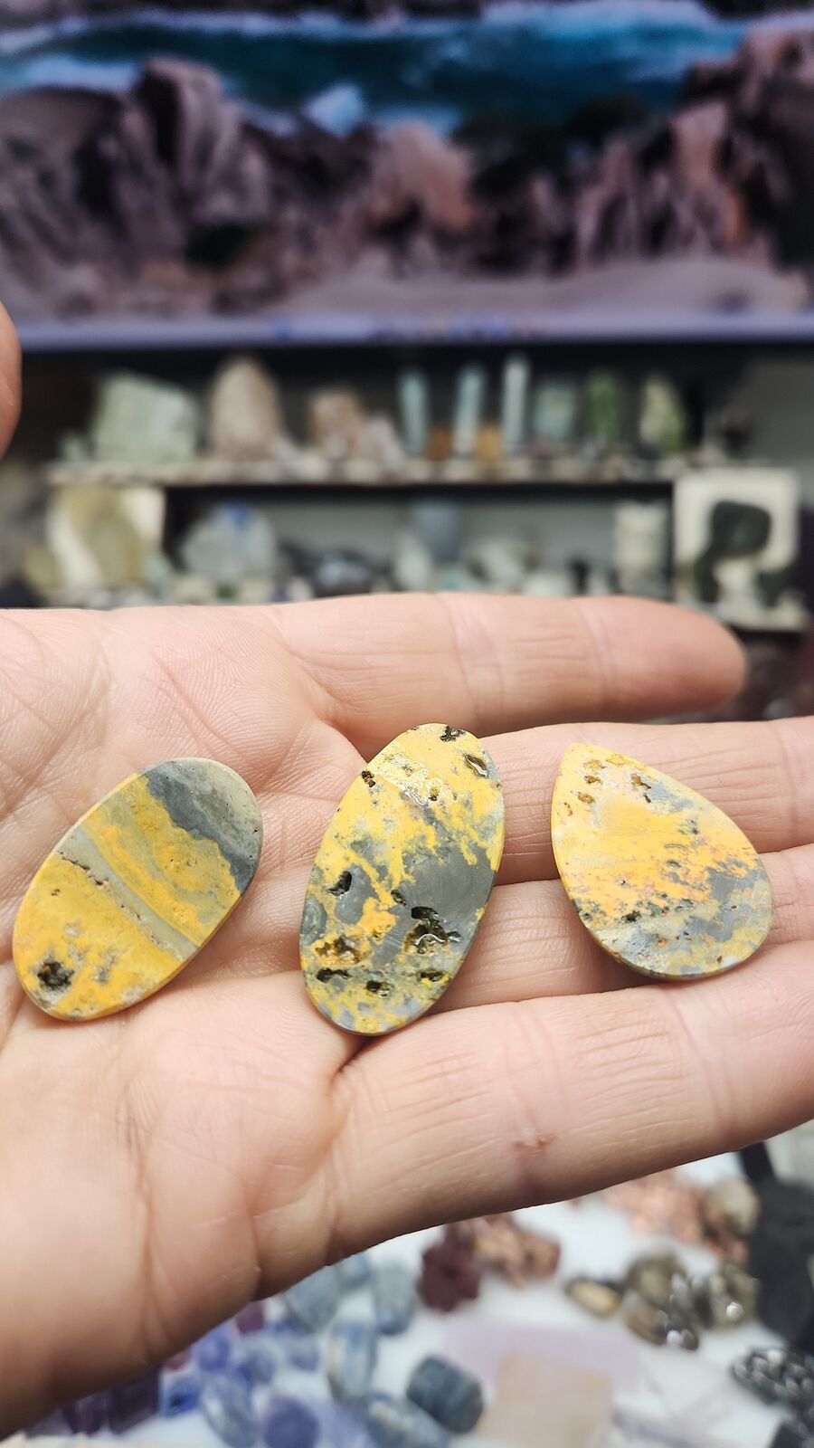 Bumblebee Jasper #201