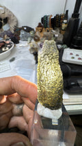 5.1g Angel Wing Moldavite #64