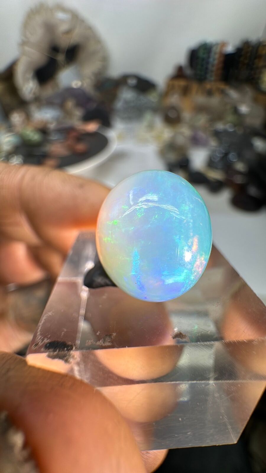 6.3ct Ethiopian Opal Cab #100