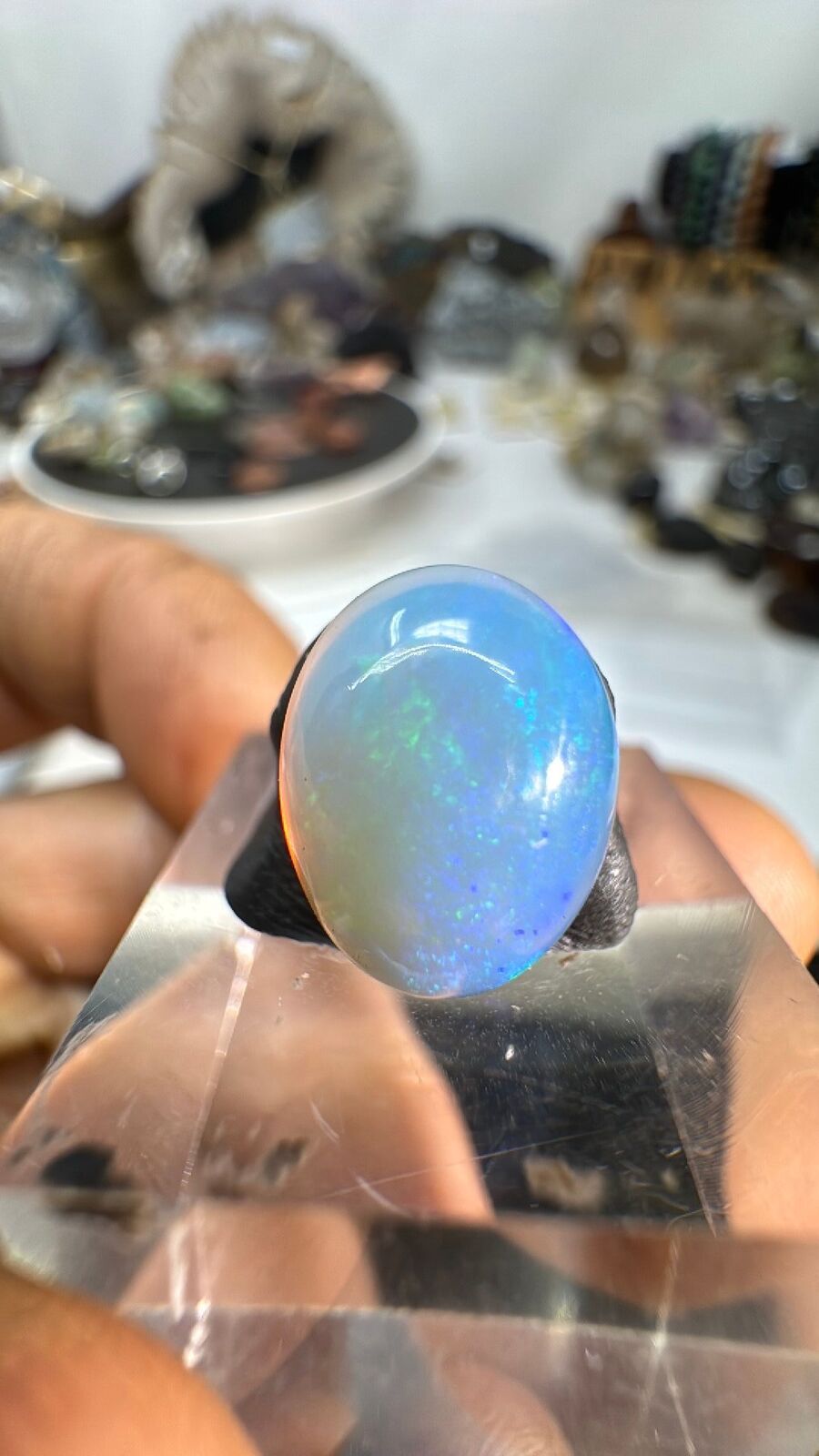 3.6ct Opal Cab #93