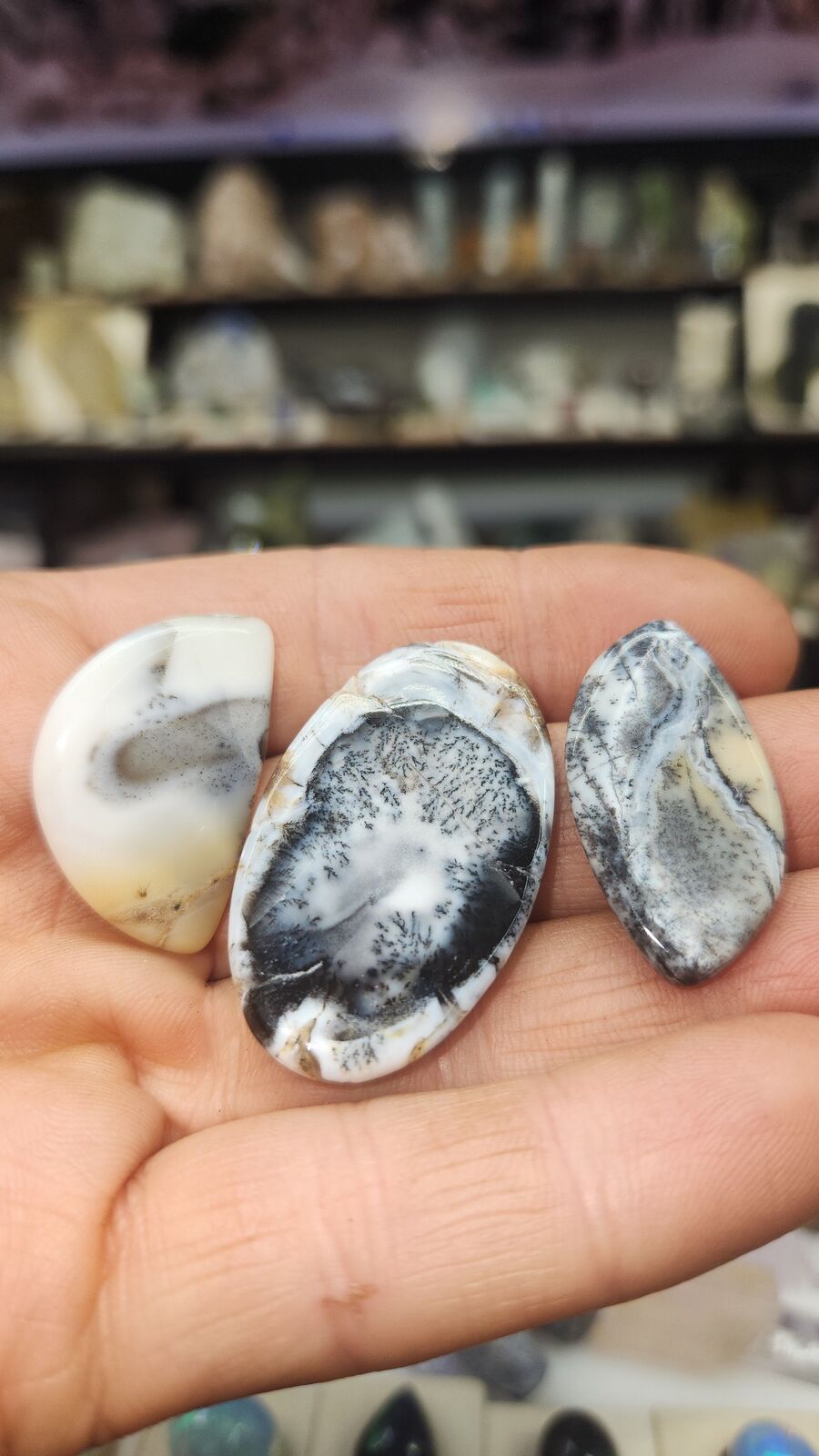 Dendritic Agate #192