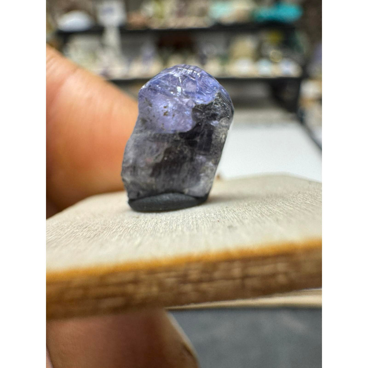 #216Tanzanite Terminated Crystal 3.8 Carats Natural Gemstone for Jewelry Making and Collecting
