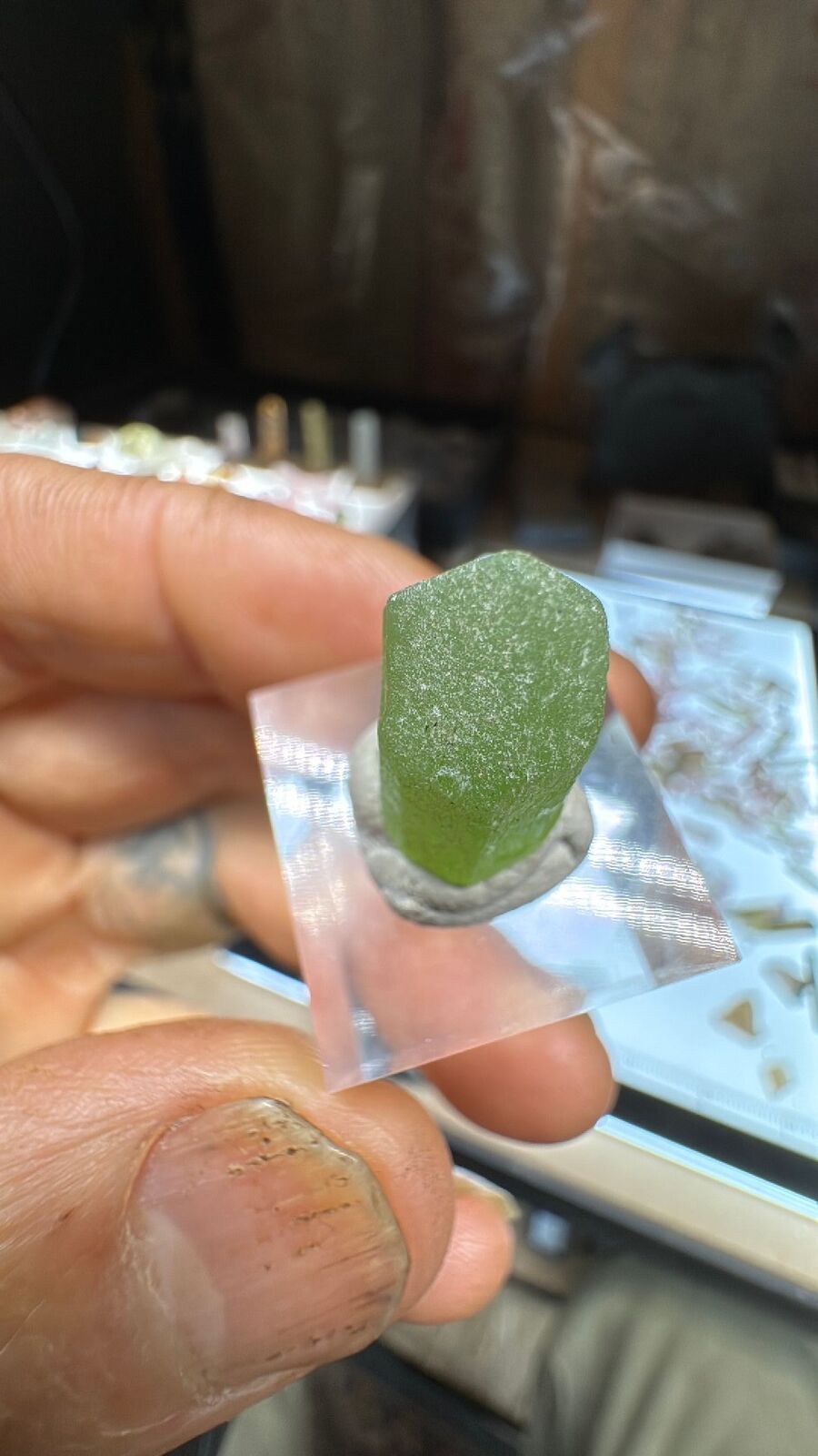 3.1g Peridot Crystal Terminated #26