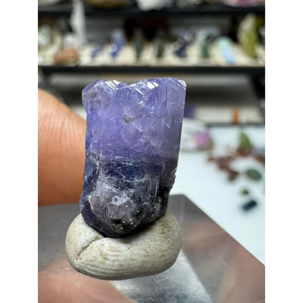 15.2 Carat Tanzanite Crystal from Tanzania #237 - Natural Gemstone for Jewelry Making and Collecting