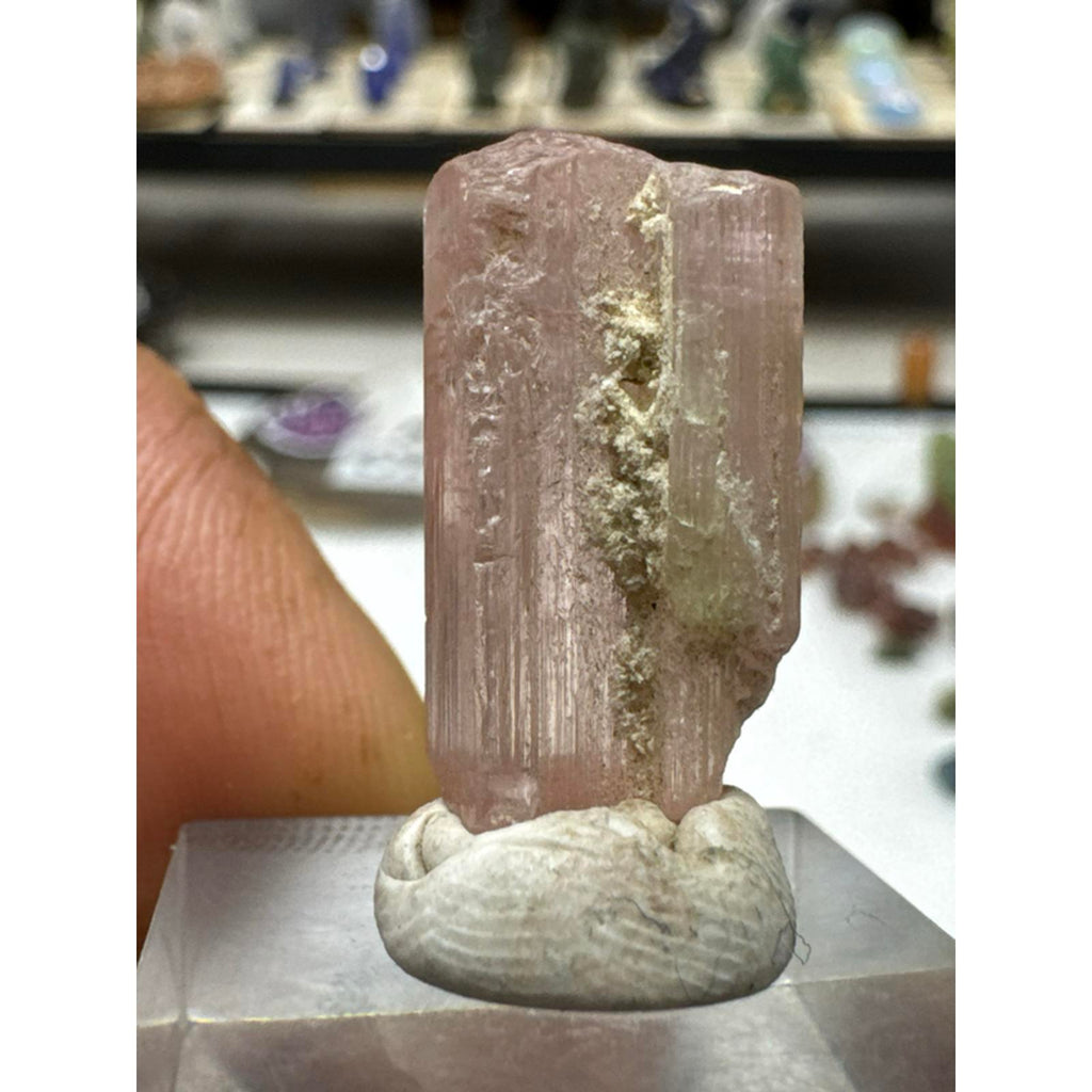 4.4 gram tourmaline crystal #248 from Afghanistan