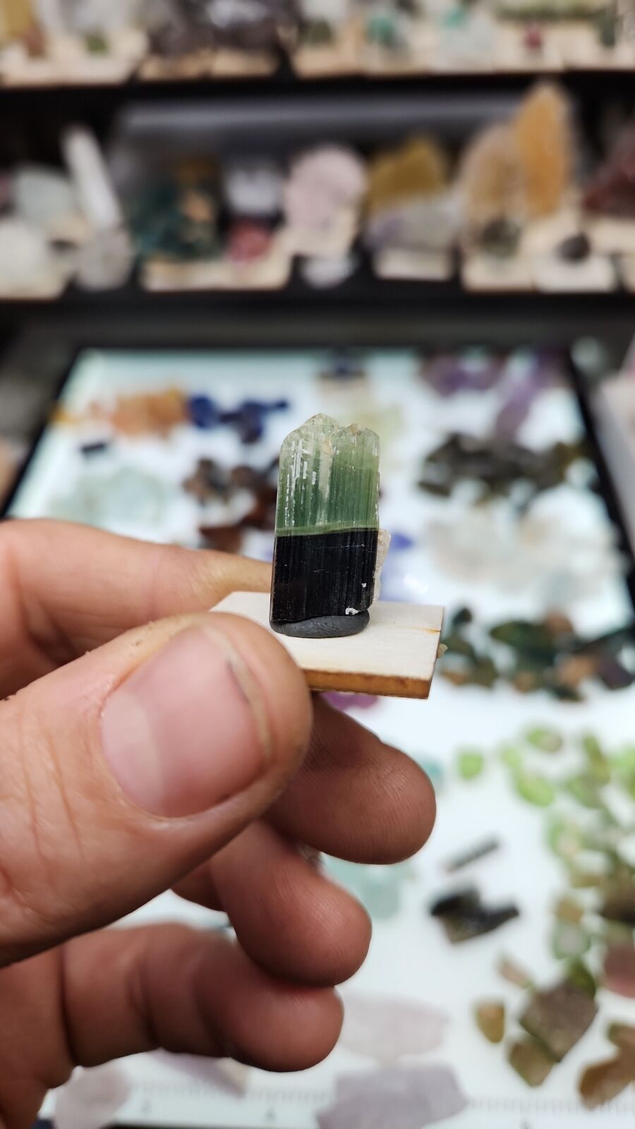 Stak Nala tourmaline #18