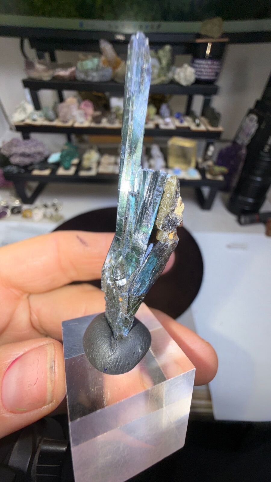 Vivianite #195