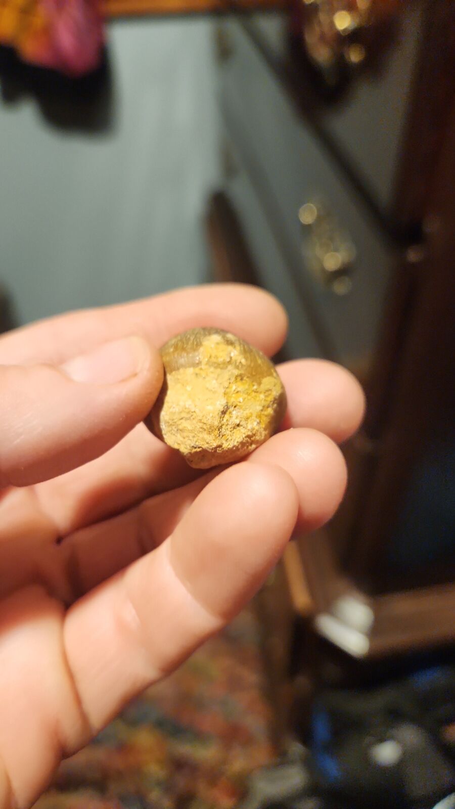 globadon tooth # 120