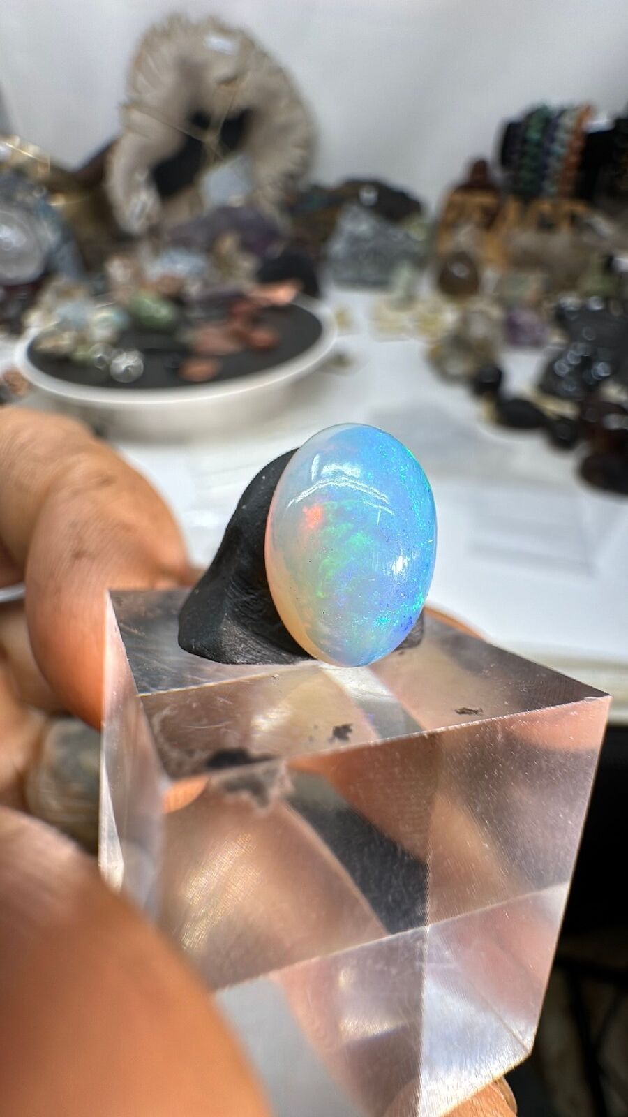 3.6ct Opal Cab #93