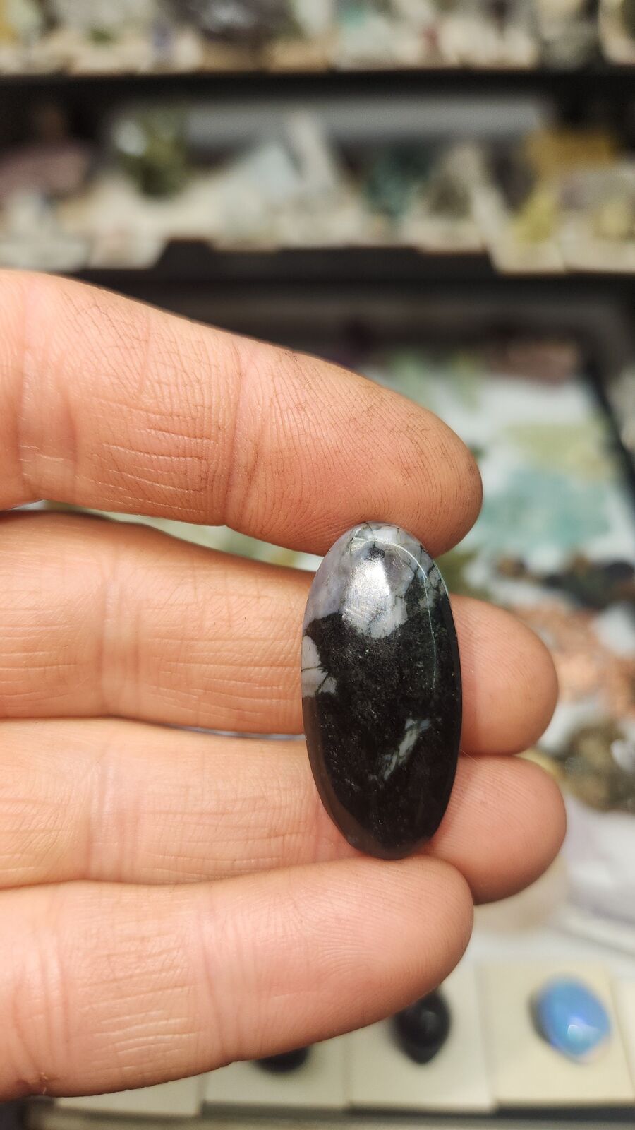 Indigo Gabbro #56