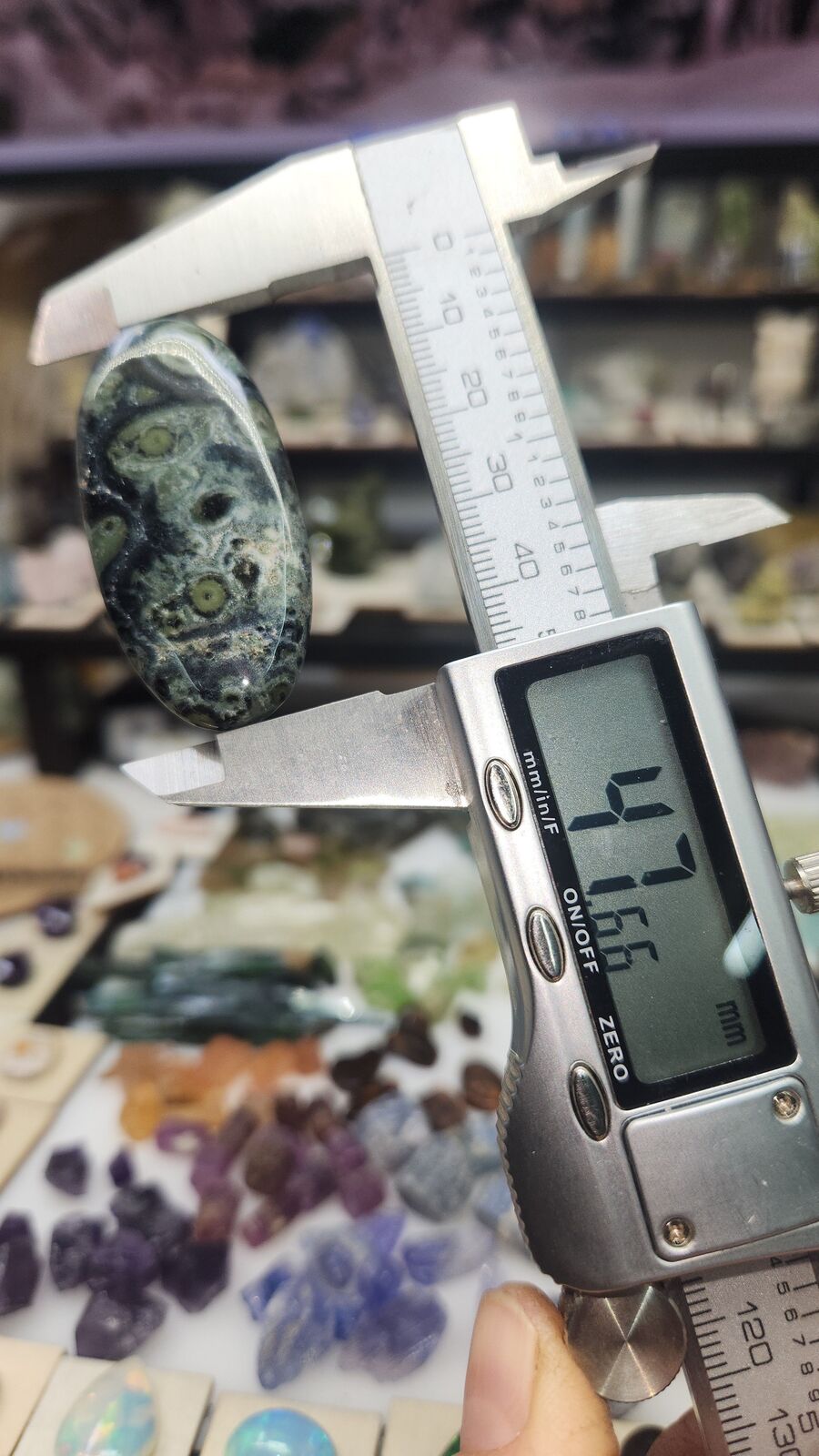 Kambaba Jasper #113
