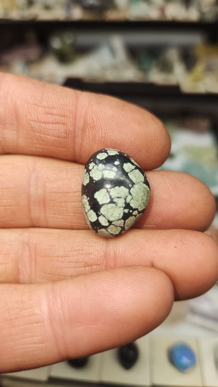 Turquoise #52