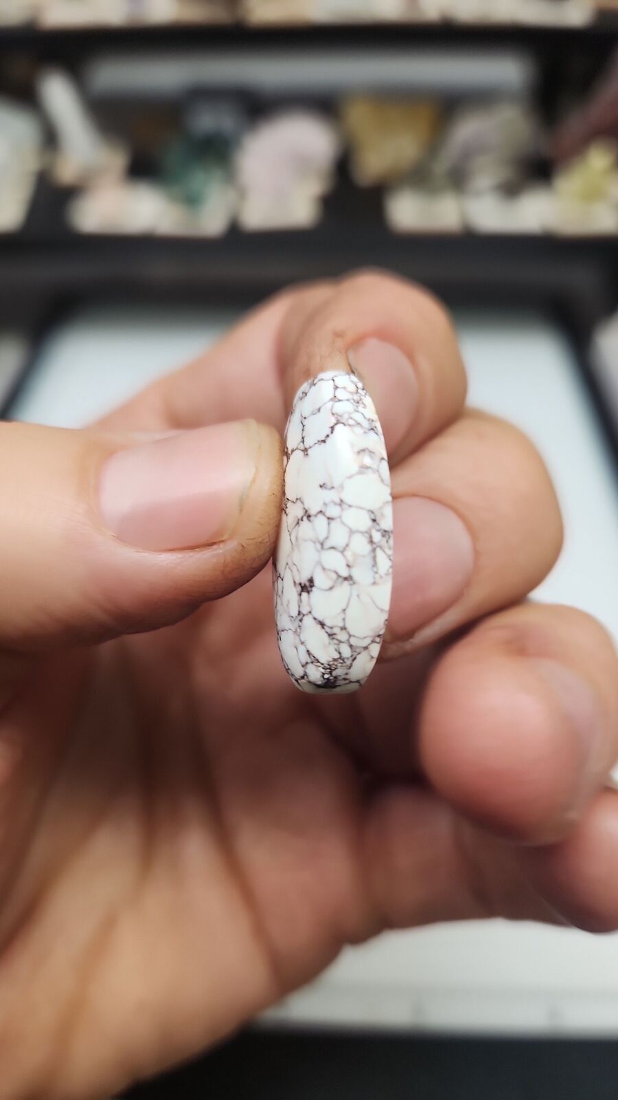 white horse turquoise # 208