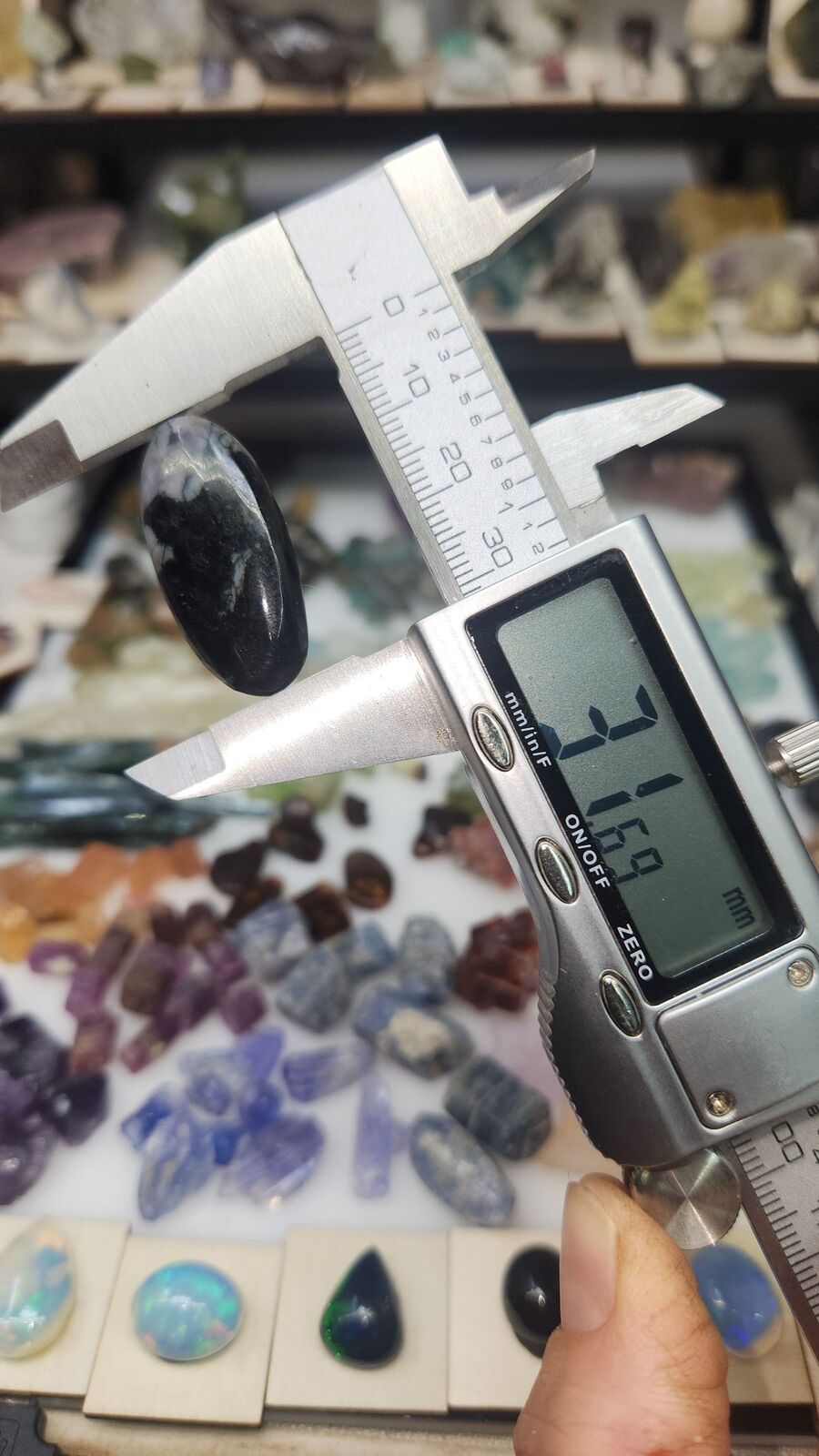 Indigo Gabbro #56