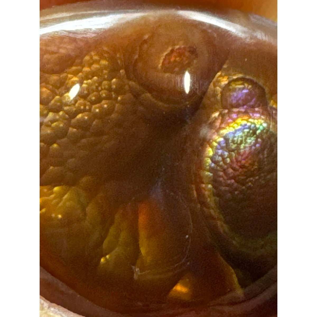 Large Fire Agate Polished #233 - Natural Stone with Unique Patterns and Vibrant Colors
