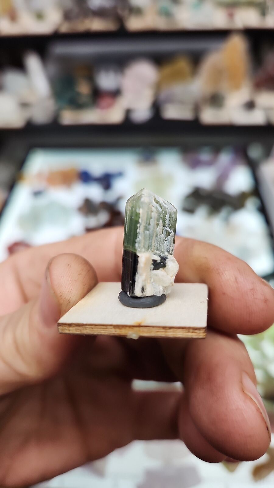 Stak Nala tourmaline #18