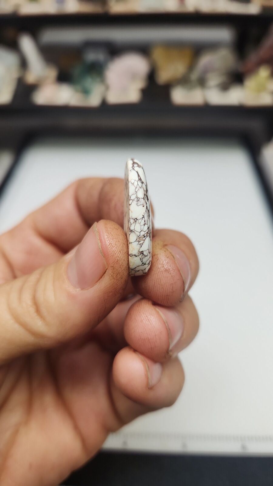 white horse turquoise # 208