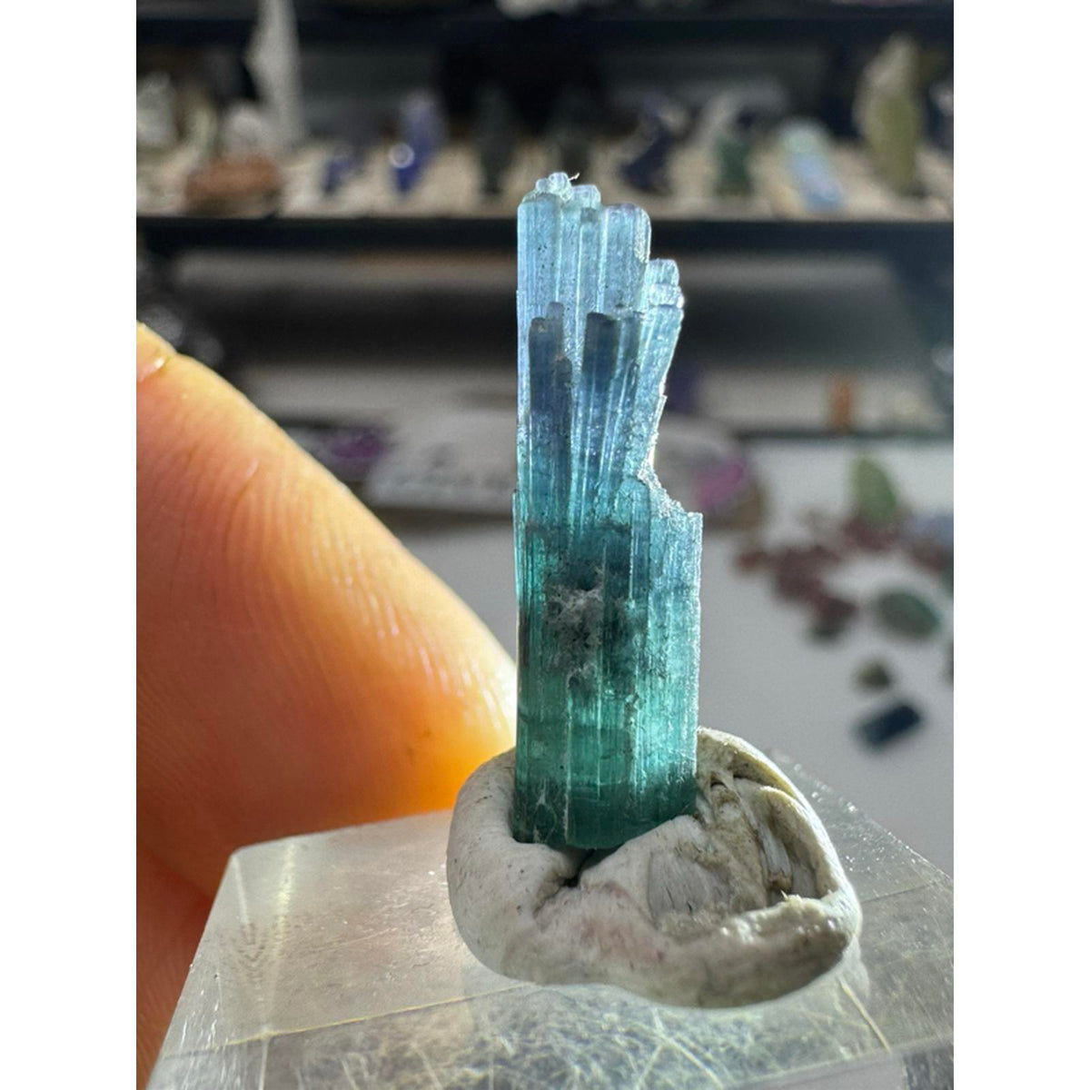 1.3 gram blue indicolite tourmaline #242 from pech mine afghanistan