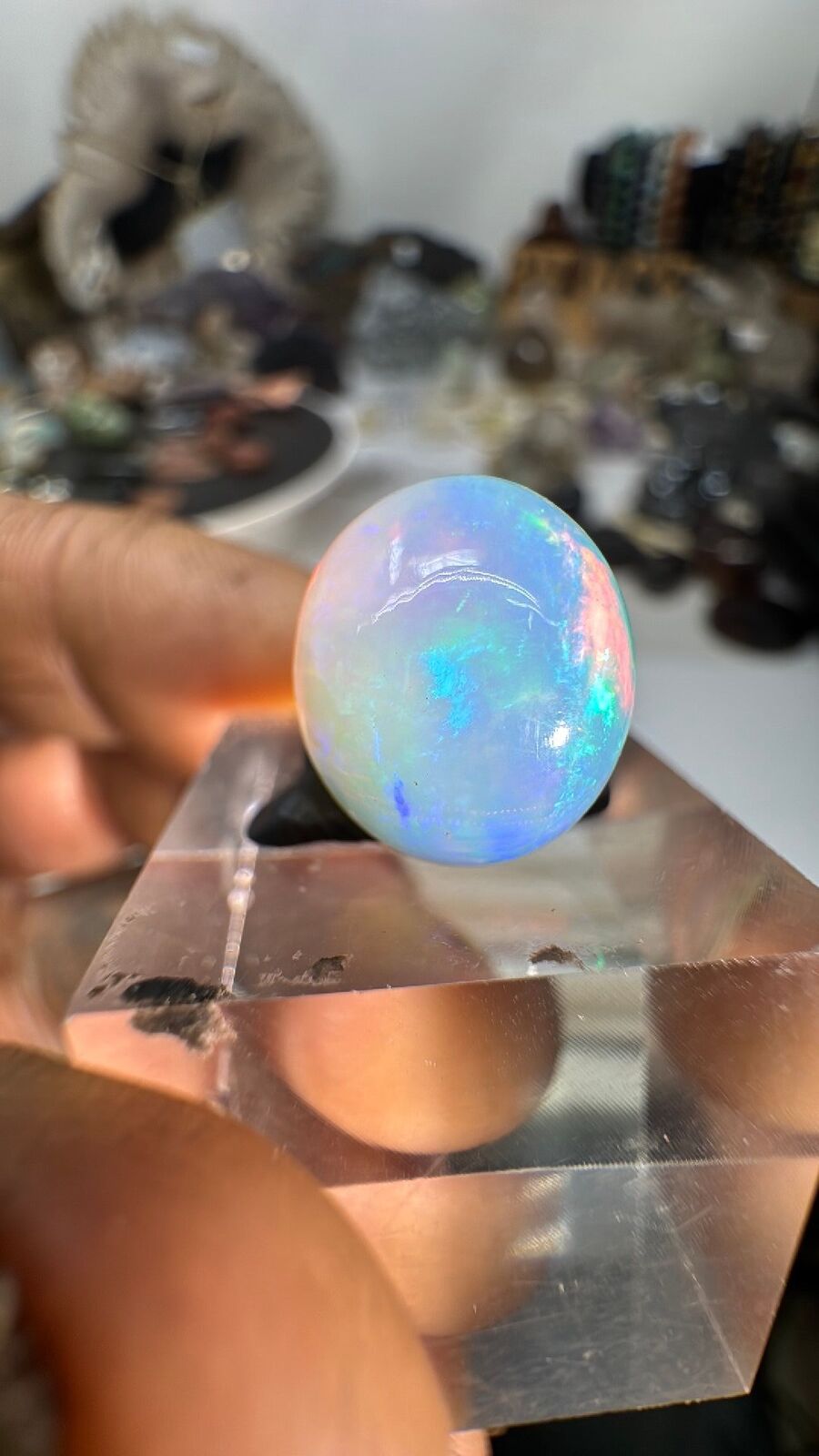 6.3ct Ethiopian Opal Cab #100