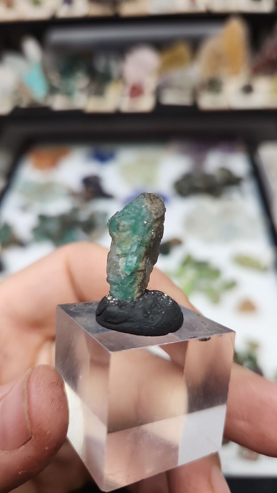 Emerald #77