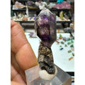 Zambian Amethyst Scepter #252 11 Gram AAA Grade Natural Crystal Specimen from Zambia