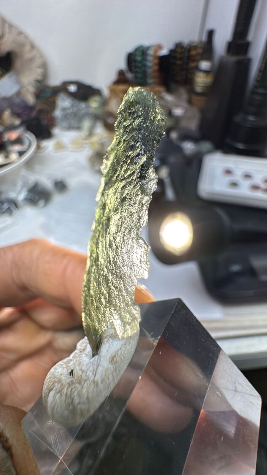 4.8g Moldavite Angel Wing #62