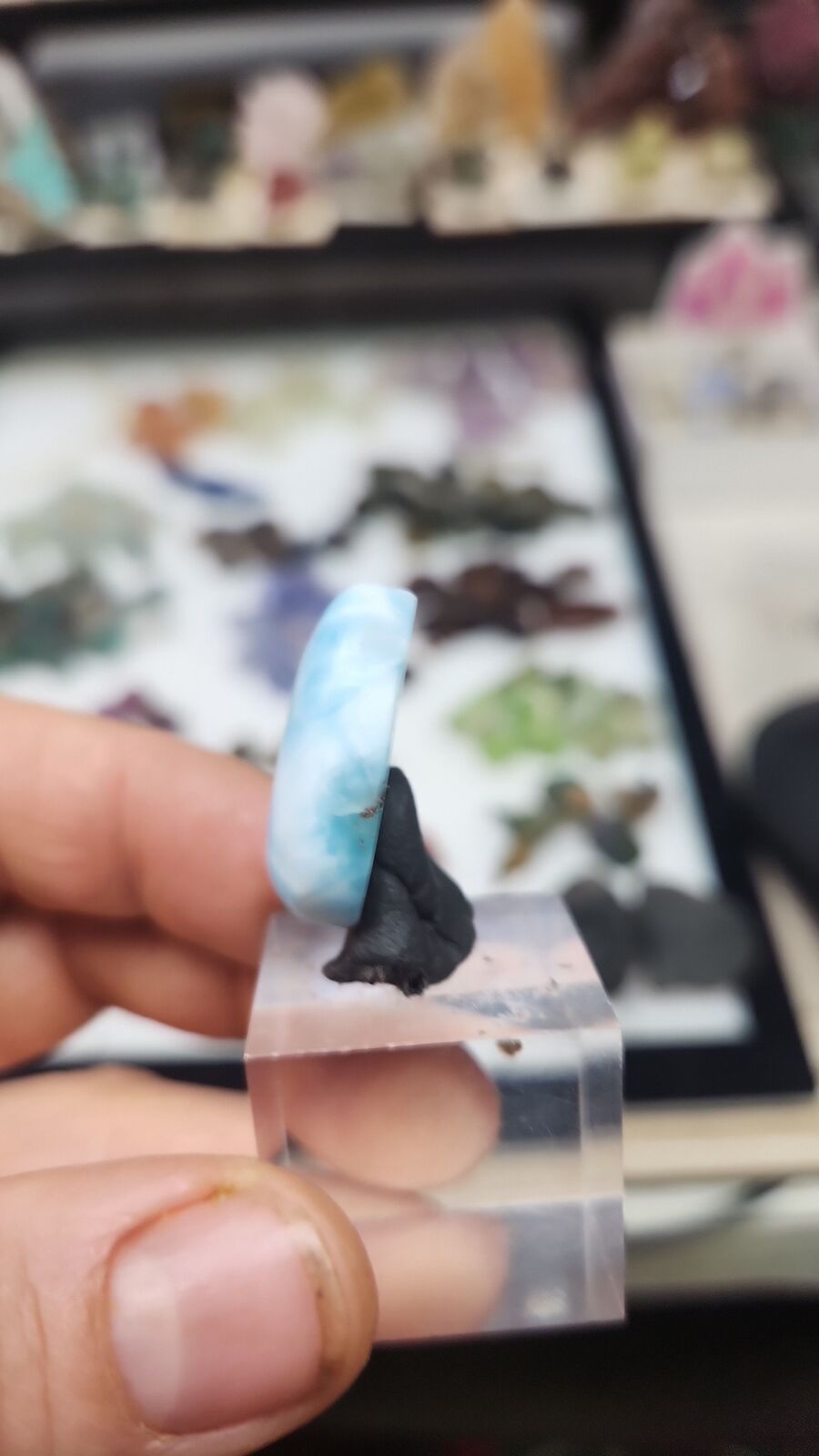 larimar #183