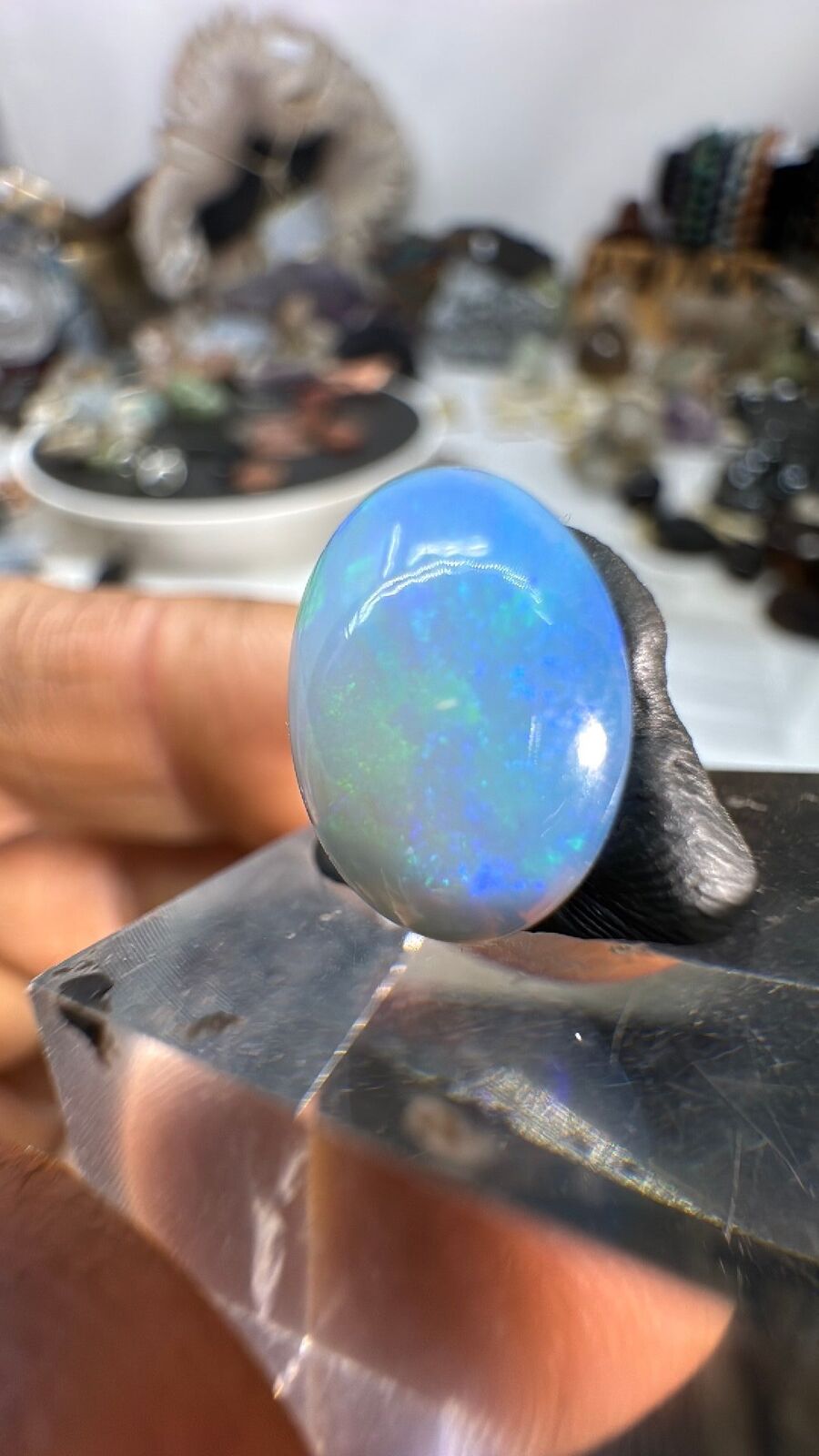 3.6ct Opal Cab #93