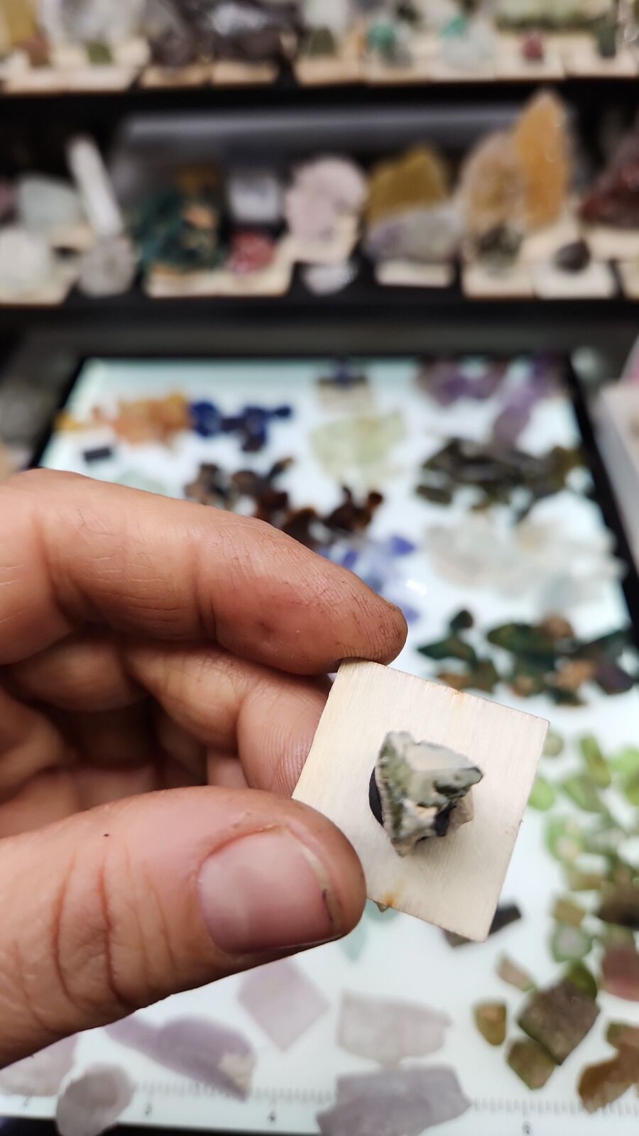 Stak Nala tourmaline #18