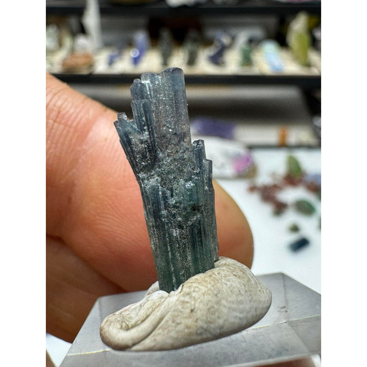 1.3 gram blue indicolite tourmaline #242 from pech mine afghanistan
