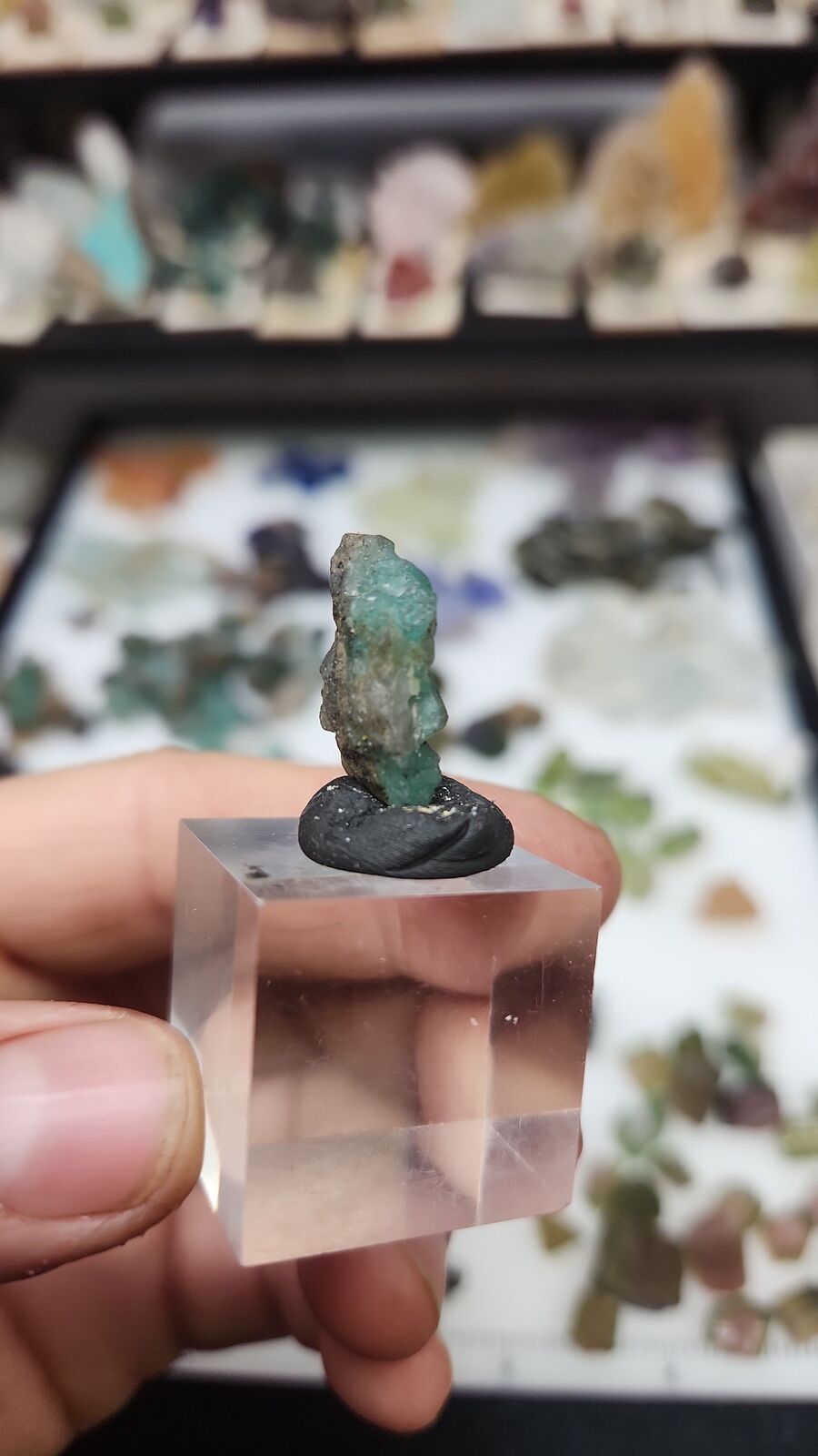 Emerald #77