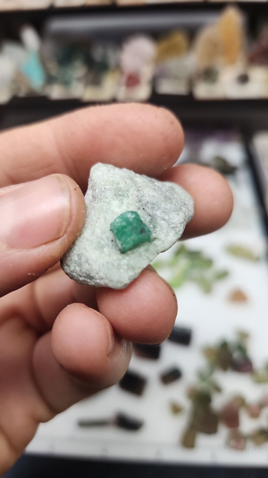 Emerald #72