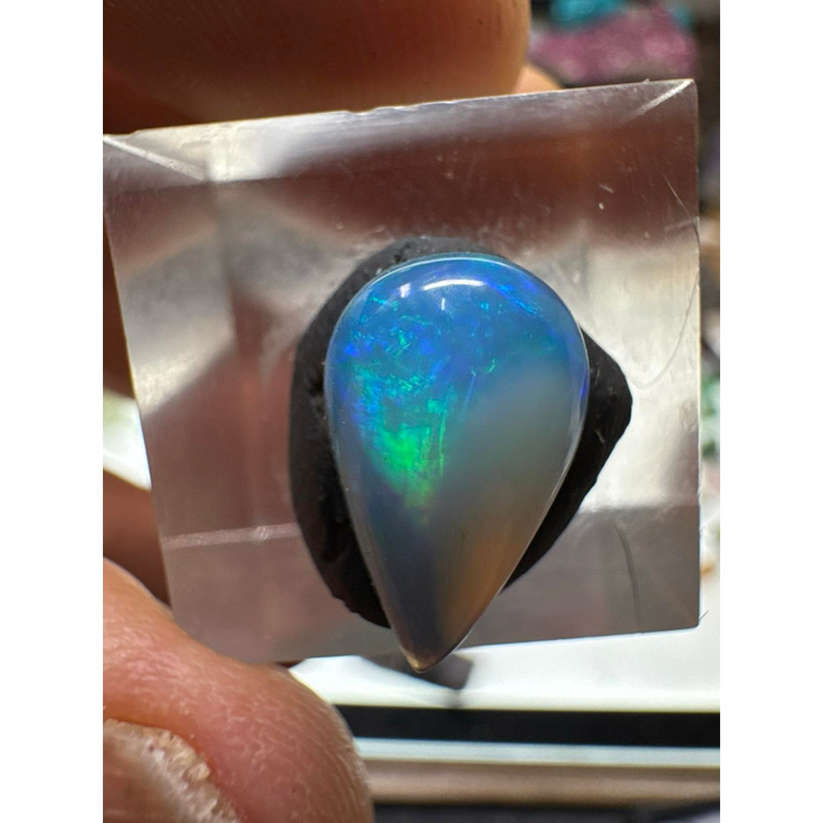 Ethiopian Opal Cab #257 - 3.4 Carat, Teardrop Shape, Vibrant Blue and Green Fire, High-Quality Gemstone