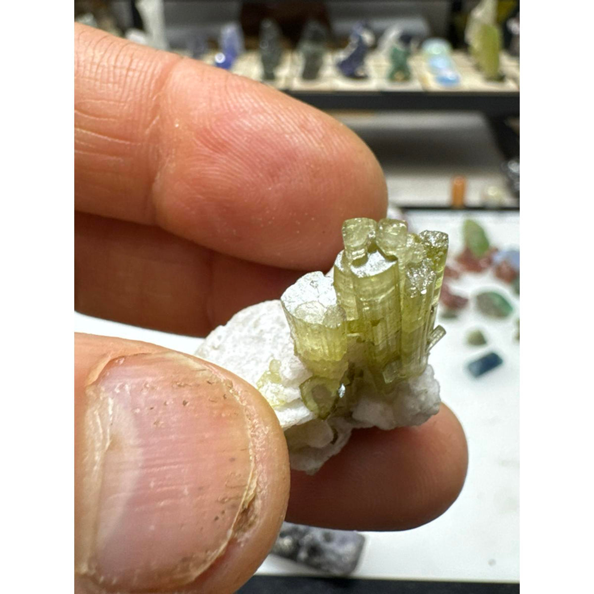 9.1 gram tourmaline terminated crystal cluster #244 from Pakistan