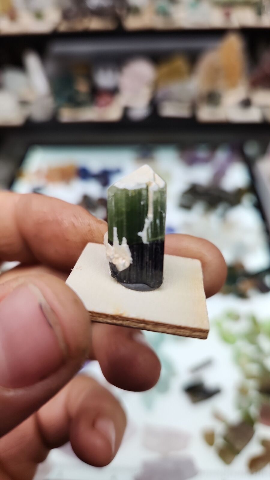 Stak Nala tourmaline #18