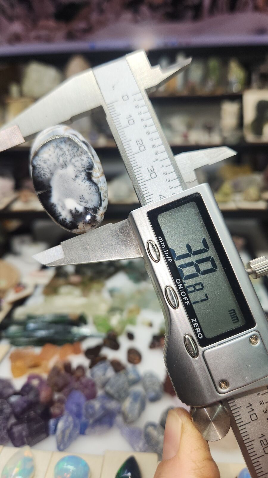 Dendritic Agate #192