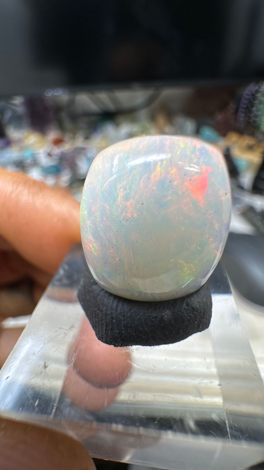 8.4ct welo Opal cab #69