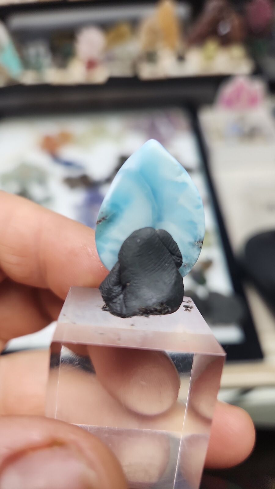 larimar #183