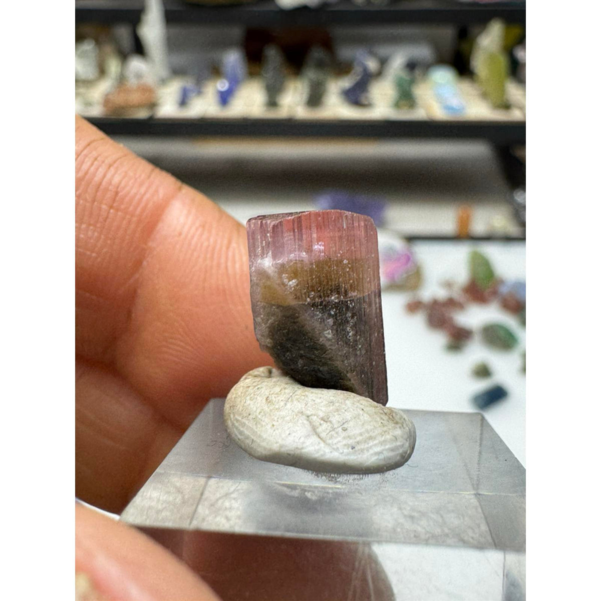 2.6 gram Stek Nala tourmaline crystal #241 from Pakistan
