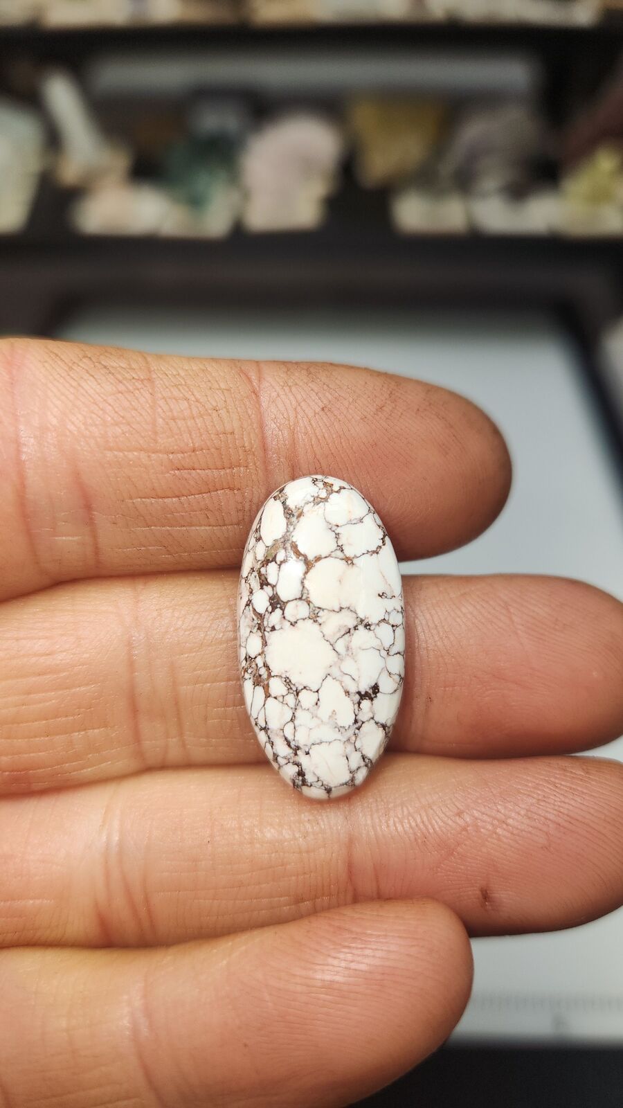 white horse turquoise # 208