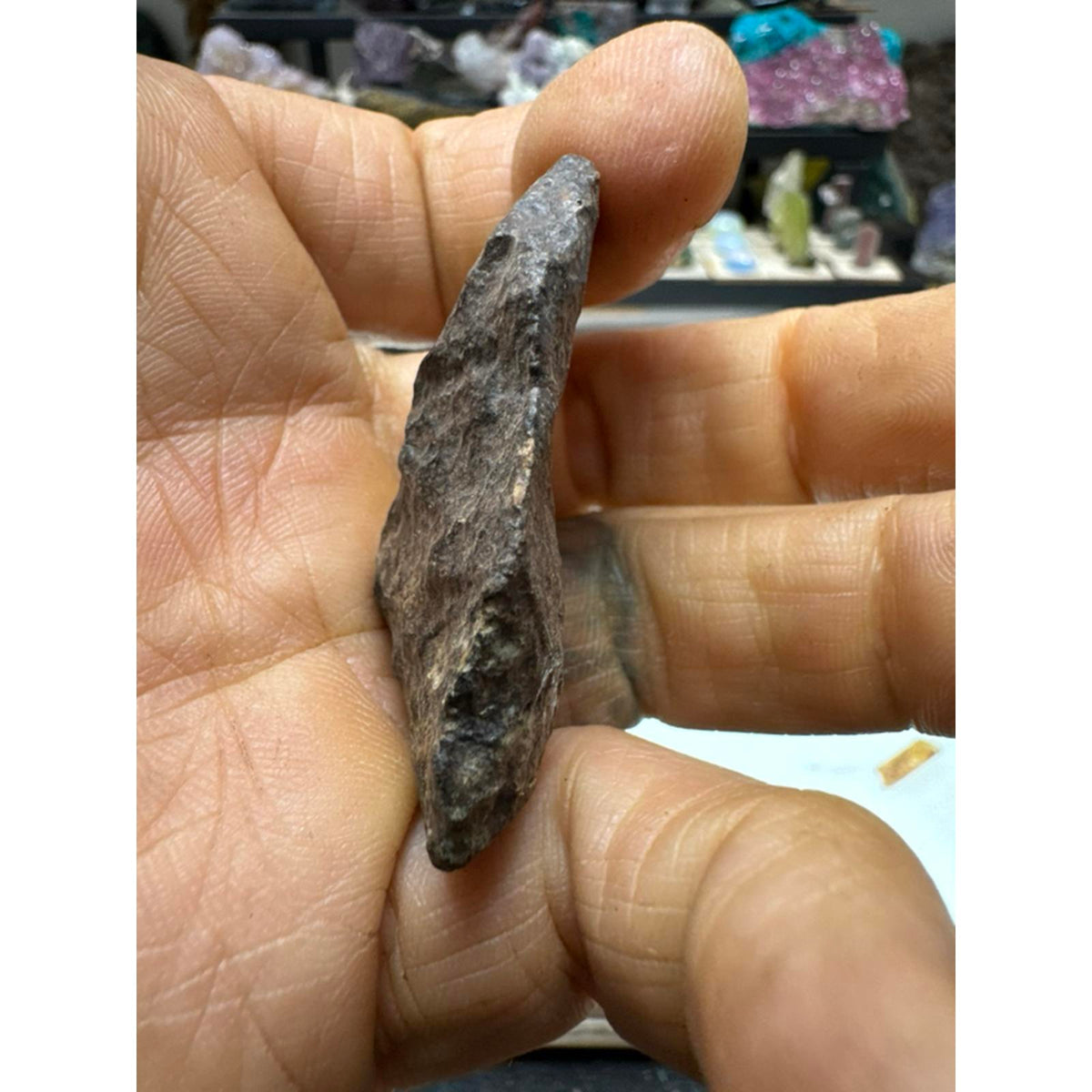 27 Gram Chondrite Meteorite Stony #261 from Morocco Authentic Space Rock for Collectors